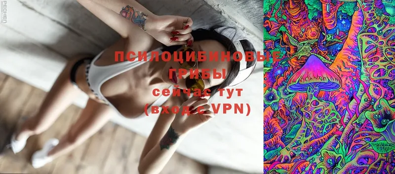 Галлюциногенные грибы Cubensis  shop формула  Покров 